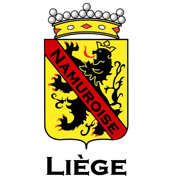 Logo Namuroise de Liège